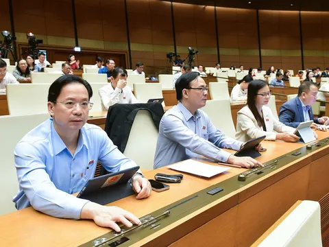 Hồi hương cổ vật bằng ngân sách